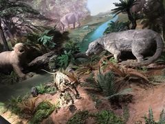 -湖南省地质博物馆