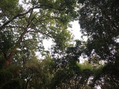 -望江楼公园