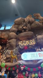 -卡通尼·Safari非洲探索乐园·生日会(金桥国际商业广场店)