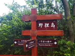 -野狸岛