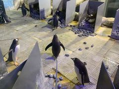 -成都浩海立方海洋公园