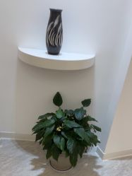 -天津伊美尔医疗整形美容专科医院