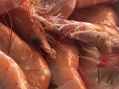 海虾-四川小胡子海鲜(丁村万人海鲜广场店)