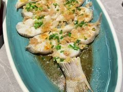 葱油淋鲈鱼-啫神·广州地标美食(北京路店)