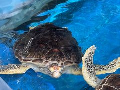 -成都浩海立方海洋公园