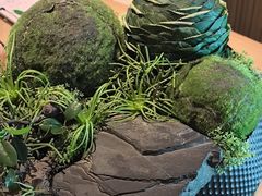 -艺水间水汇