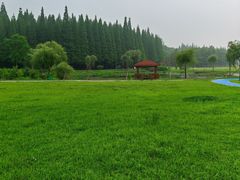 -宜兴龙背山森林公园