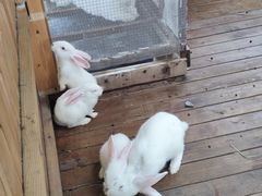 -HERRE·FARM 赫尔露营农场·团建聚会包场