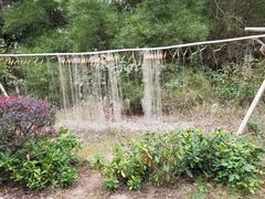 -北海金海湾红树林生态旅游区