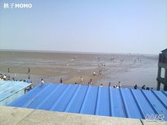 -碧海金沙