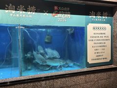 -淘米捞·米汤脆鲩鱼火锅(福田皇岗店)