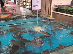 -7fresh七鲜(大族广场店)