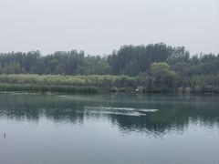 -淇河国家湿地公园