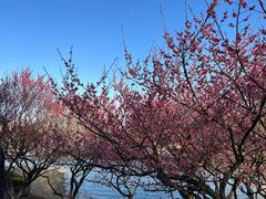 -白塘生态植物园