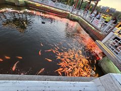 -长春市南湖公园