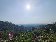 -火炉山森林公园