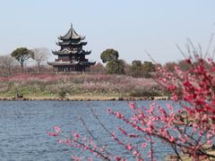 -上海海湾国家森林公园