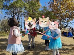 -上海长兴岛郊野公园