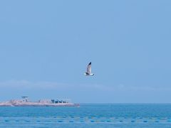 -海合安青岛极地海洋公园