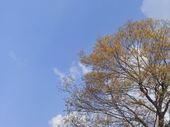 -安徽工业大学(秀山校区)