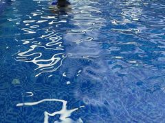 -Swim斯卫姆国际儿童游泳中心(红博中央公园店)