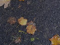 -山王坪喀斯特国家生态公园