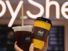 -延长壳牌加油站(长安南路电视塔站)