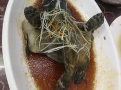清蒸石斑鱼-范饭椰林川湘味海鲜·椰子鸡(三亚湾椰梦长廊店)