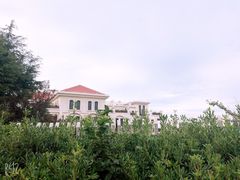 -八大关景区