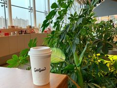 -Seesaw Coffee(朝阳大悦城店)