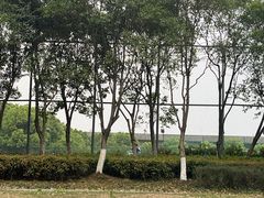 -九里河湿地公园