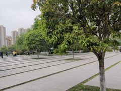 -木塔寺遗址生态公园