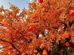 -中华郡文化旅游景区
