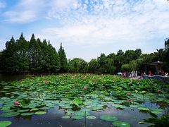 -黄兴公园