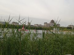 -莲花池公园