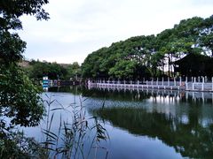 -白马涧龙池景区