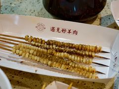 -红柳枝滩羊烧烤·非遗