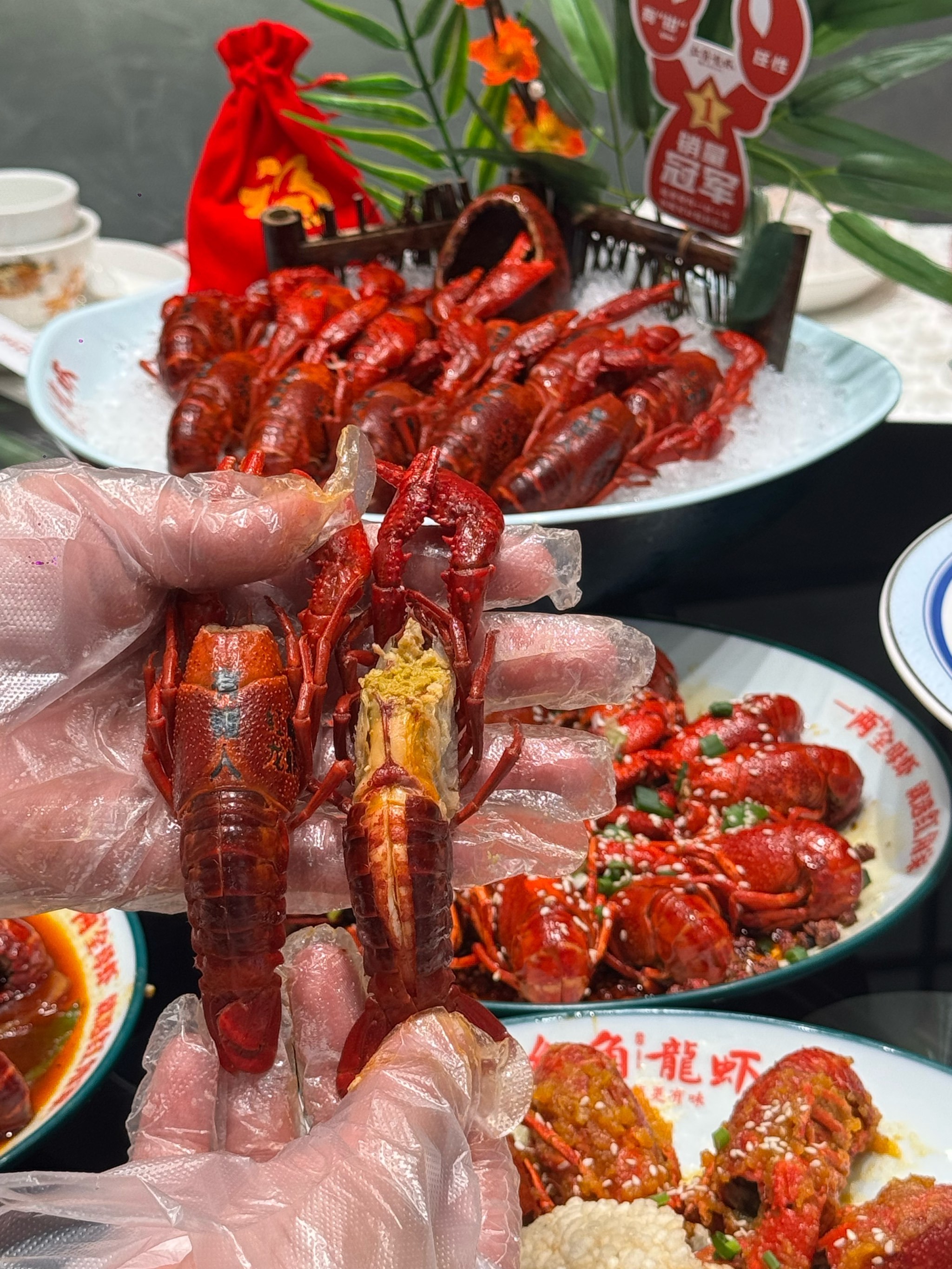 南通龙虾🔝🦞👉🏻红角龙虾!