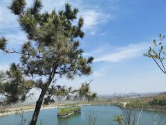 -樱花山风景区