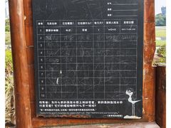 -华侨城湿地公园