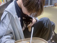-逗柴咖啡屋·狗咖猫咖宠物桌游