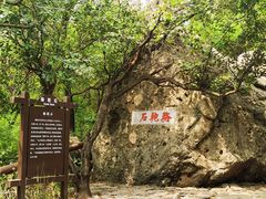 -阳台山自然风景区