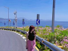 -玫瑰海岸文化旅游度假区