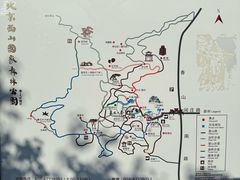 -北京西山国家森林公园