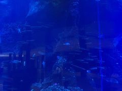 -佛山希尔顿酒店·融誉亚洲美食荟