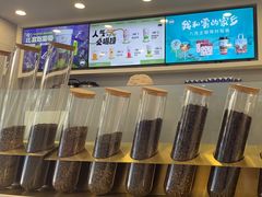 -雾与山茶(大禹城店)