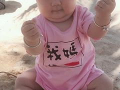 -月光岛
