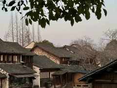 -乌镇景区