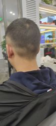 -巴黎劳伦LF