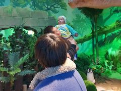 -中南南通体育会展中心